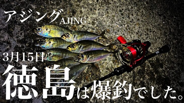 【アジング】3月にアジ・青物が釣れる場所