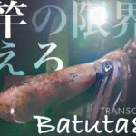 【3kg捕獲】Batuta80Sで挑む屋久島レッドモンスターエギング　山田タカト　TRANSCENDENCE