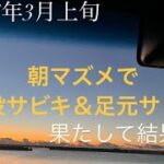 №4. 3月上旬 遠投サビキ釣りは…!?