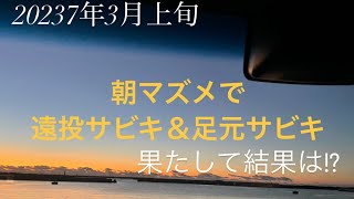 №4. 3月上旬 遠投サビキ釣りは…!?