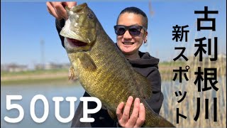 【埼玉バス釣り】古利根川で人生初バスを狙ったら50UP釣れた！ダーマスカップ告知【バス釣り】