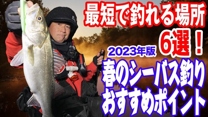 春のシーバス釣りおすすめポイント6選！2023年版！オヌマンのシーバス塾