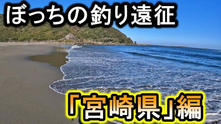 【チキン南蛮】車で9時間掛けて「宮崎県」へ…山陰の海との違いに驚かされる。