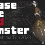 【CRONOでもいいカンジ ④】Chase The Red Monster　in屋久島