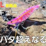 【エギング】イカの前にアングラーが釣られる？！DUELエビキュー！ふわふわ・ブルブルでアピール。