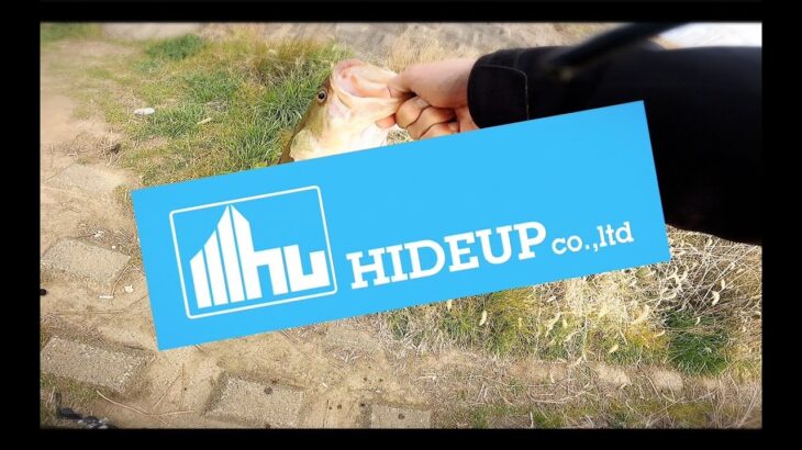 日本１大きなバス釣り大会HIDEUPで釣る。霞水系