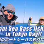 【Japanese fishing tackle shop navigation!!】東京つり散歩＃９ 東京湾のボートシーバス釣りに挑戦！