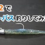 R-32でシーバス釣りしてみたら…【2023年2月20日】