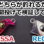 RECTER(レクター)とVATISSA(バティッサ)どちらがシーバス釣れるか５日間検証してみた。