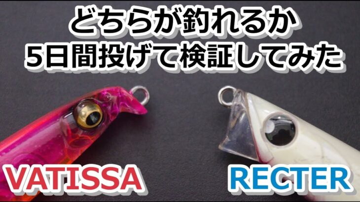 RECTER(レクター)とVATISSA(バティッサ)どちらがシーバス釣れるか５日間検証してみた。