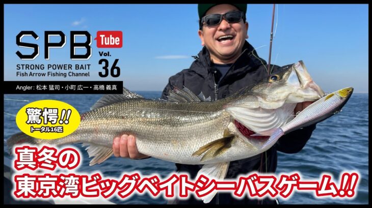 【SPB Tube Vol.36】驚愕トータル16匹！真冬の東京湾ビッグベイトシーバスゲーム