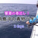 【ヒラマサ、ハマチ】角島沖青物ジギング２days