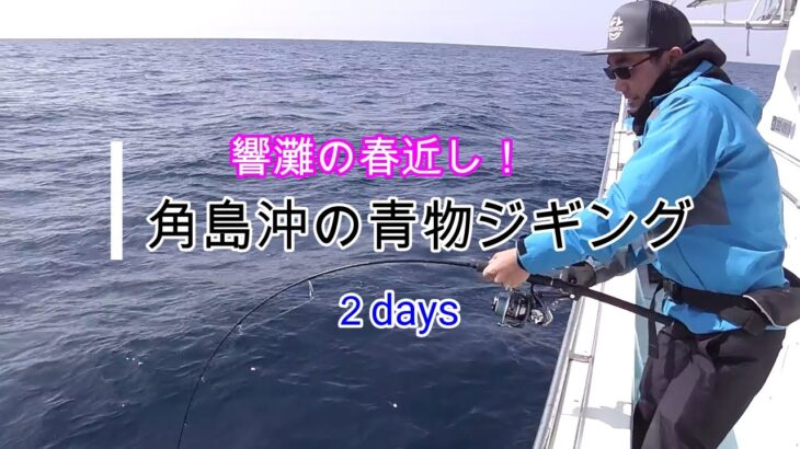 【ヒラマサ、ハマチ】角島沖青物ジギング２days