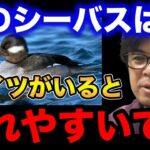 【村岡昌憲】春のシーバスはコイツがいると釣れやすいです。【fishing 釣り 村岡昌憲 切り抜き ルアー釣り シーバス ノット リール】