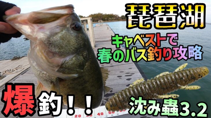 春の琵琶湖バス釣りはこのアクションで釣れる！一誠-issei-沈み蟲3.2インチのキャベストでバスを呼ぶ！2023年の琵琶湖バスフィッシングは春が早い！？琵琶湖オカッパリでこのアクションは最強説