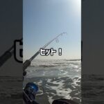 ぶっ飛びスプーンにヒット！この引きは…【九十九里サーフヒラメ狙い】#shorts