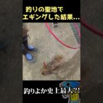 【とんでもない大きさ!!】釣りの聖地でエギングした結果… #shorts