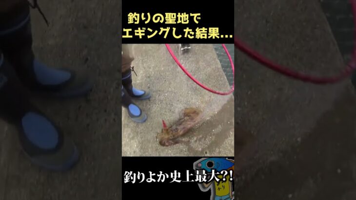 【とんでもない大きさ!!】釣りの聖地でエギングした結果… #shorts