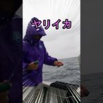 豪雨でも「イカ釣り」多点掛け最高！！！#shorts