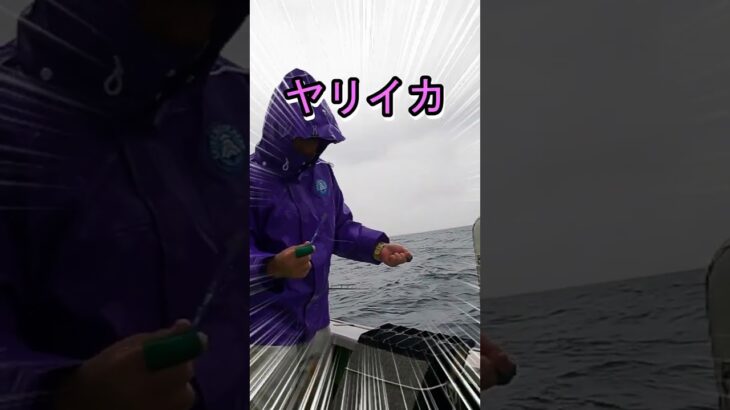 豪雨でも「イカ釣り」多点掛け最高！！！#shorts