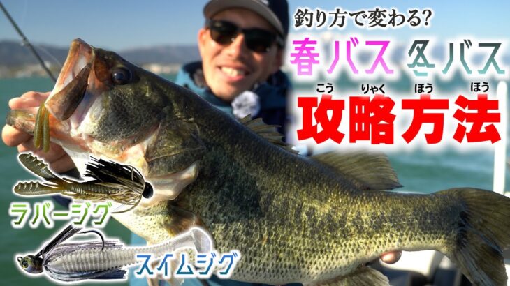 【バス釣り】気難しい春バスを狙うには？！スイムジグ＆ラバージグで攻略