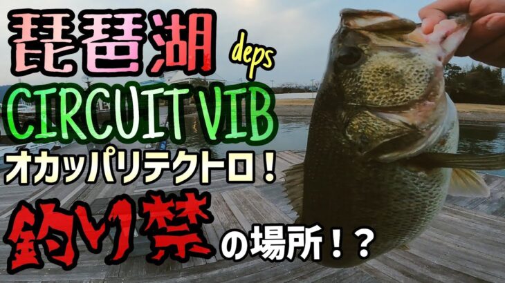 普段は釣り禁止の場所で釣りしてみたら連発したｗ低水温気に効く！冨本タケルプロオススメのデプスメタルバイブ！サーキットバイブをテクトロで攻略！琵琶湖南湖西岸のバス釣り！【琵琶湖バス釣り】