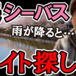 春シーバス！ベイトの探し方　村岡昌憲【切り抜き】