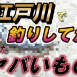 【シーバス】旧江戸川河口で釣りしてたら見つけたヤバいもの