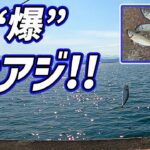 【ショアジギング＋サビキ釣り】上下浜サーフ～直江津港防波堤ハッピーフィッシング 超人気釣り場ハシゴ釣行