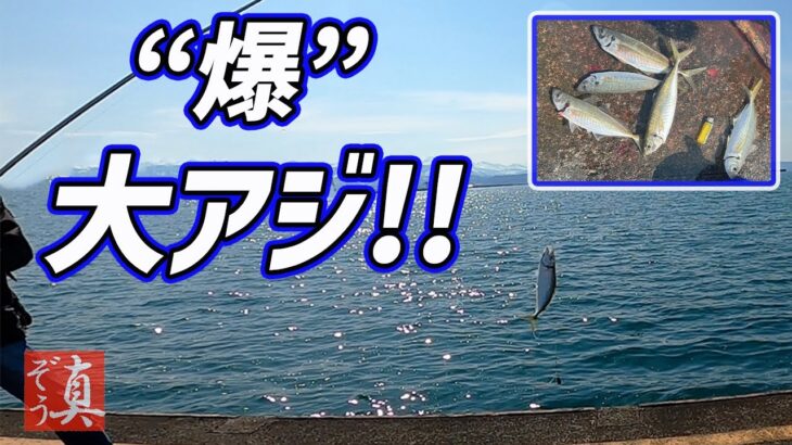 【ショアジギング＋サビキ釣り】上下浜サーフ～直江津港防波堤ハッピーフィッシング 超人気釣り場ハシゴ釣行