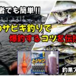 【驚きの効果】初心者でも簡単‼アジのサビキ釣りで爆釣するコツを伝授!!釣果アップ必至!!