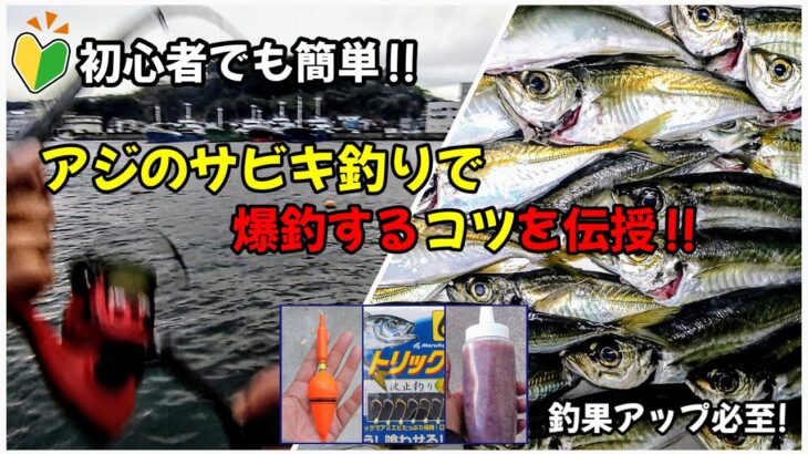 【驚きの効果】初心者でも簡単‼アジのサビキ釣りで爆釣するコツを伝授!!釣果アップ必至!!