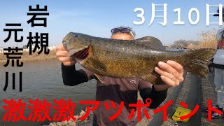 【埼玉バス釣りポイント】岩槻の元荒川！噂のデカバスエリア！スモールマウスバス【バス釣り】