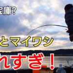 釣り場についてからアタリが止まらない!ここは魚の宝庫か?