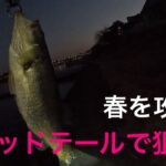 【バス釣り】底をズルズルで釣れる❗️ 琵琶湖　瀬田川　南湖