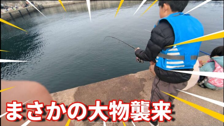 家族でサビキ釣りのはずが‥‥大型 高級魚襲来