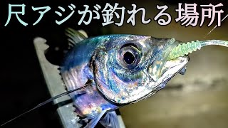 【アジング】デカアジはここで釣れます