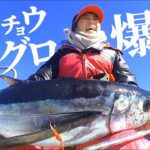 【トンジギ】ビンチョウマグロ初ゲット‼︎プロに教わるトンボジギングの釣り方 三重志摩沖【漁盛丸】【電動ジギング】