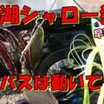 バス釣り琵琶湖・・・早春のシャローに来るバスをおかっぱりから狙う！西岸南湖のバスは動いてるのか・・・⁉