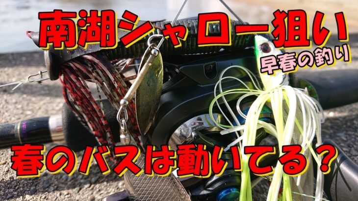 バス釣り琵琶湖・・・早春のシャローに来るバスをおかっぱりから狙う！西岸南湖のバスは動いてるのか・・・⁉