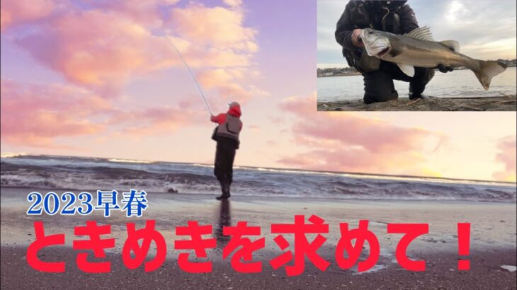 春近し！サーフで河口で宵越しランガン魚釣り