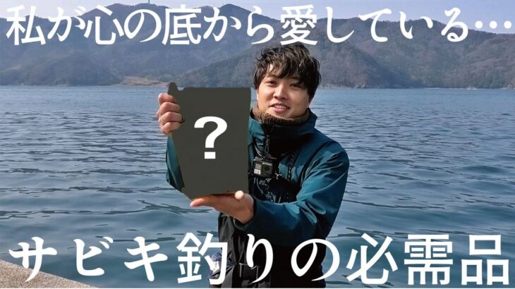 色々使ったけど、やっぱりコレが一番好き。サビキ釣りをされる際にぜひ試してほしいアイテムがある。