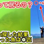 【バス釣り】釣れないので、カメラを水中に突っ込んでバスが居るのか探してみた【水中映像】