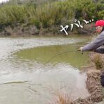 絶対に釣ってはイケナイ魚を釣って激怒される秦拓馬。