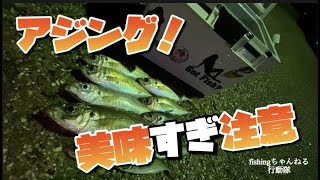 【石川県　釣り】アジが食べたくてアジング！がやらかし！からのデカアジ！、、、