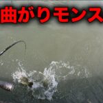 早春の琵琶湖で特大捕獲！こんなところにモンスターが⁉︎【琵琶湖】【バス釣り】【陸っぱり】