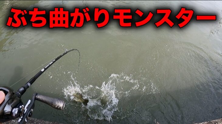 早春の琵琶湖で特大捕獲！こんなところにモンスターが⁉︎【琵琶湖】【バス釣り】【陸っぱり】