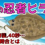 【ヒラメのポイント】釣り方の基本/４０秒待つ意味とは/時合について