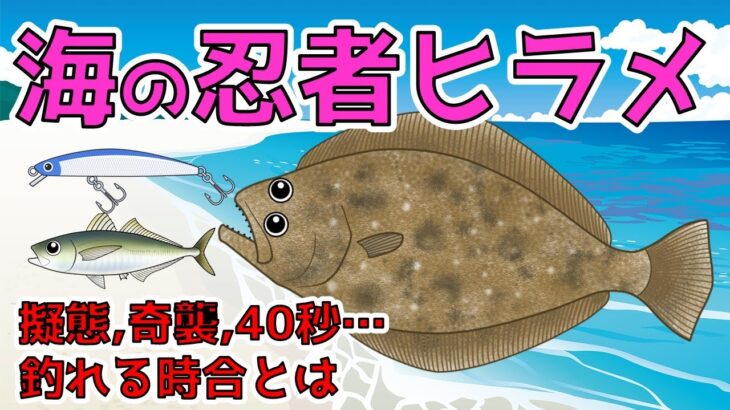 【ヒラメのポイント】釣り方の基本/４０秒待つ意味とは/時合について