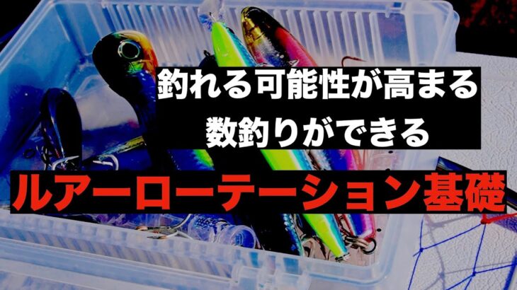 釣れる可能性が高まる、数釣りができるルアーローテーション基礎理論